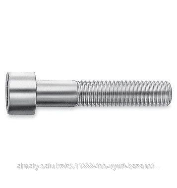 Болт ISO4762-8.8-IH19 M24X55 с внутр. 6-и-гр.