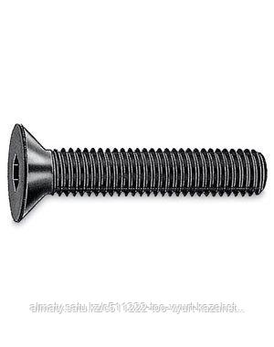 SCR-ISO10642-010.9-IH3-(A2K)-M5X8