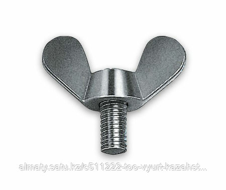 DTRKZ4AC03294 Винт DIN316-G-TPG-(A2K)-M5X25