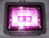 Фитосветильник светодиодный полного спектра для теплиц 100W, фото 1