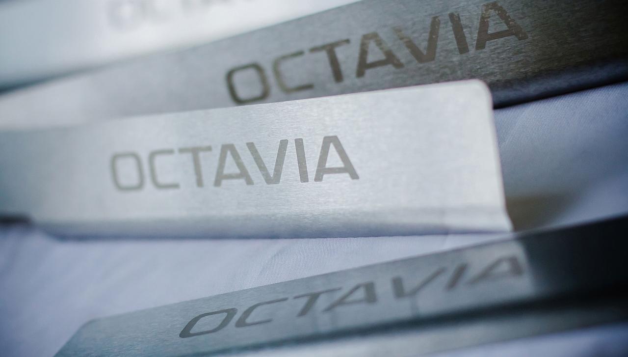 Накладки на пороги для Octavia А5 FL