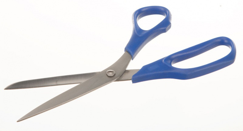 Ножницы Bochem лабораторные, с пластиковыми ручками, длина 250 мм, нержавеющая сталь - фото 1 - id-p46134869