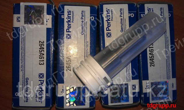 2645A613 Распылитель форсунки Perkins