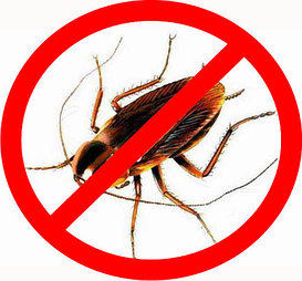 Уничтожение тараканов