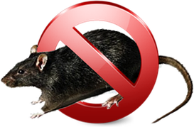 Уничтожение грызунов