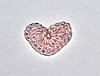 Сердце вязаное (2 см.) - светло-розовое