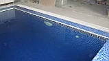 Строительство бассейнов, фото 2