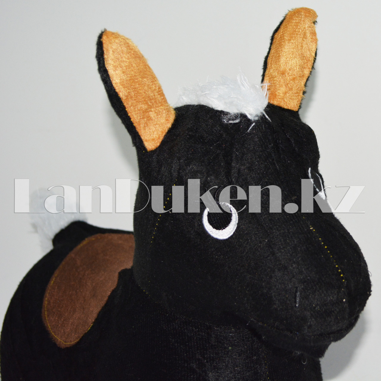 Украинаның Нижин қаласында ақша үшін жыныстық қатынас