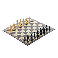 Настольная игра Spin Master шахматы классические, фото 1