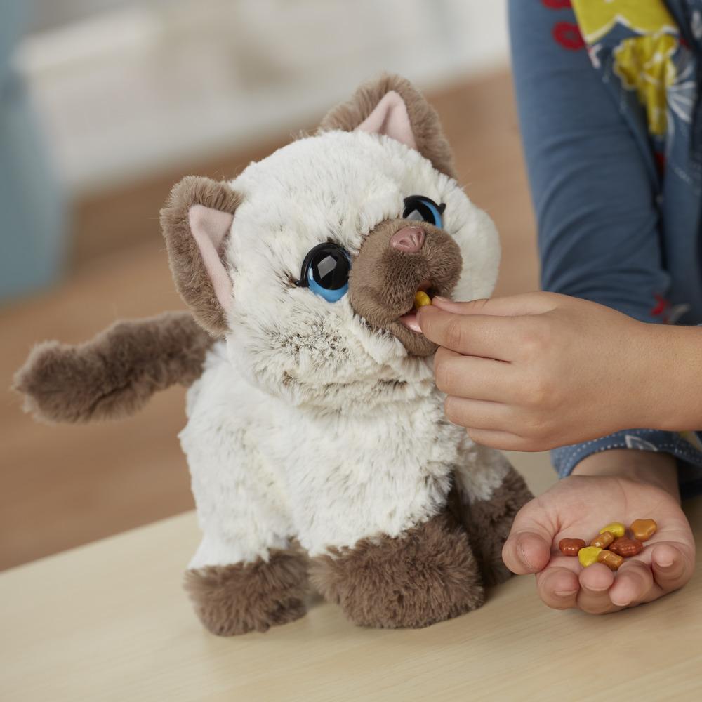 Игрушка Hasbro ЗАБАВНЫЙ КОТЁНОК, ДРУГ ПАКСА
