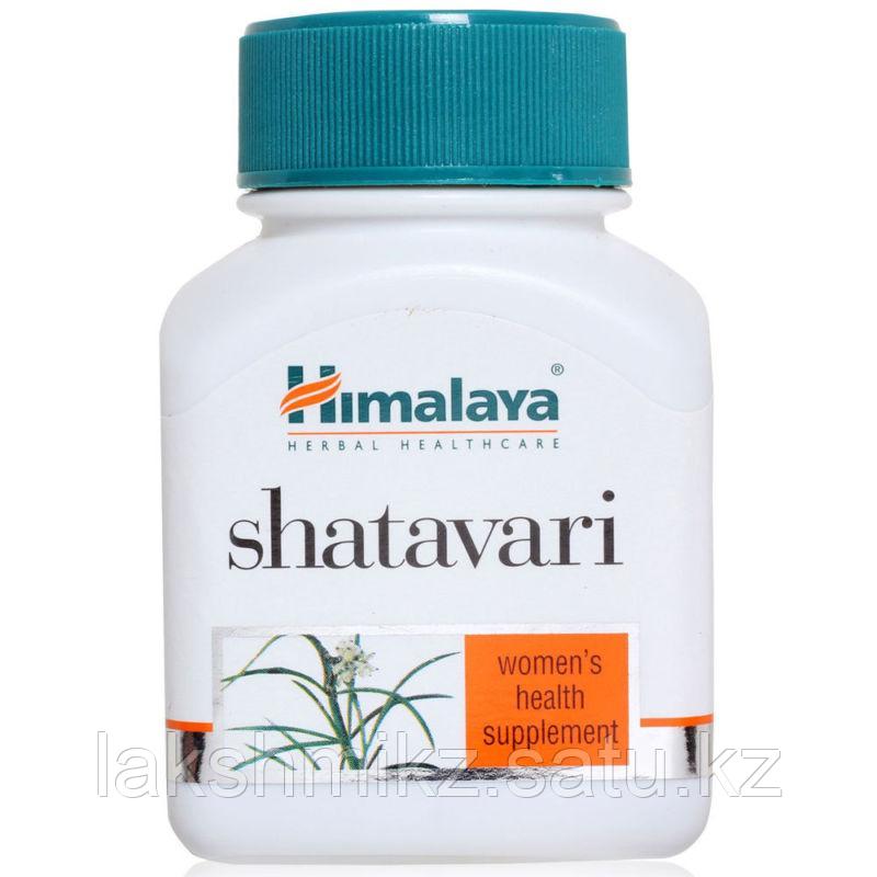 Шатавари Himalaya
