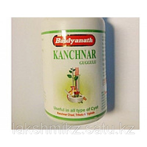 Канчанар гуггул baidyanath