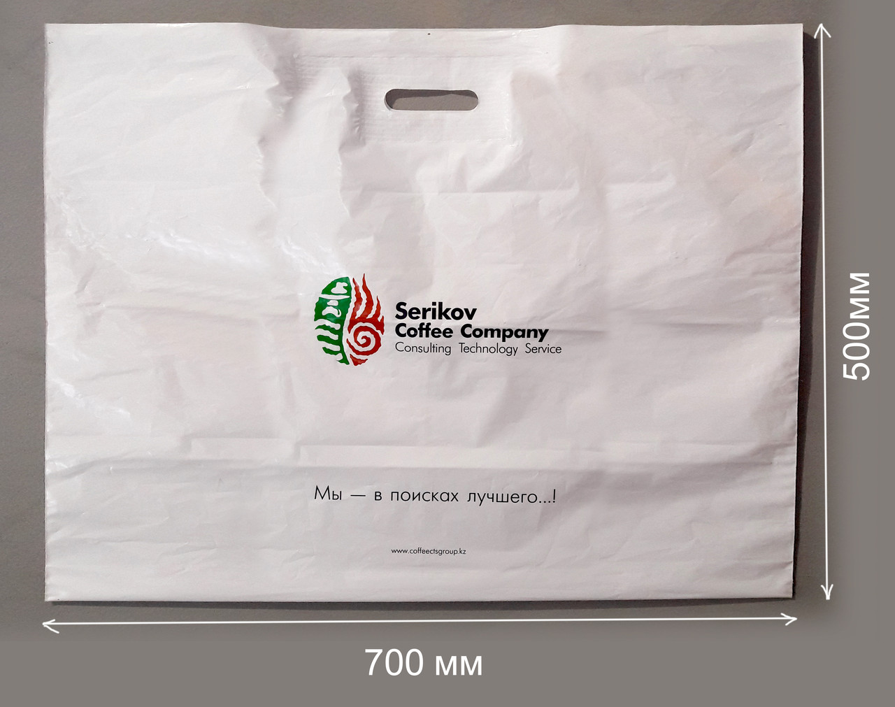 Пакет с логотипом 50х70см