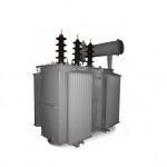 ТРАНСФОРМАТОРЫ СИЛОВЫЕ СЕРИИ ТМЖ