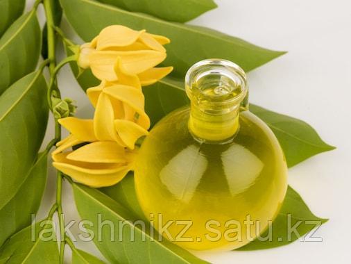 Эфирное масло Иланг-Иланг Song of India (Ylang Ylang Oil)