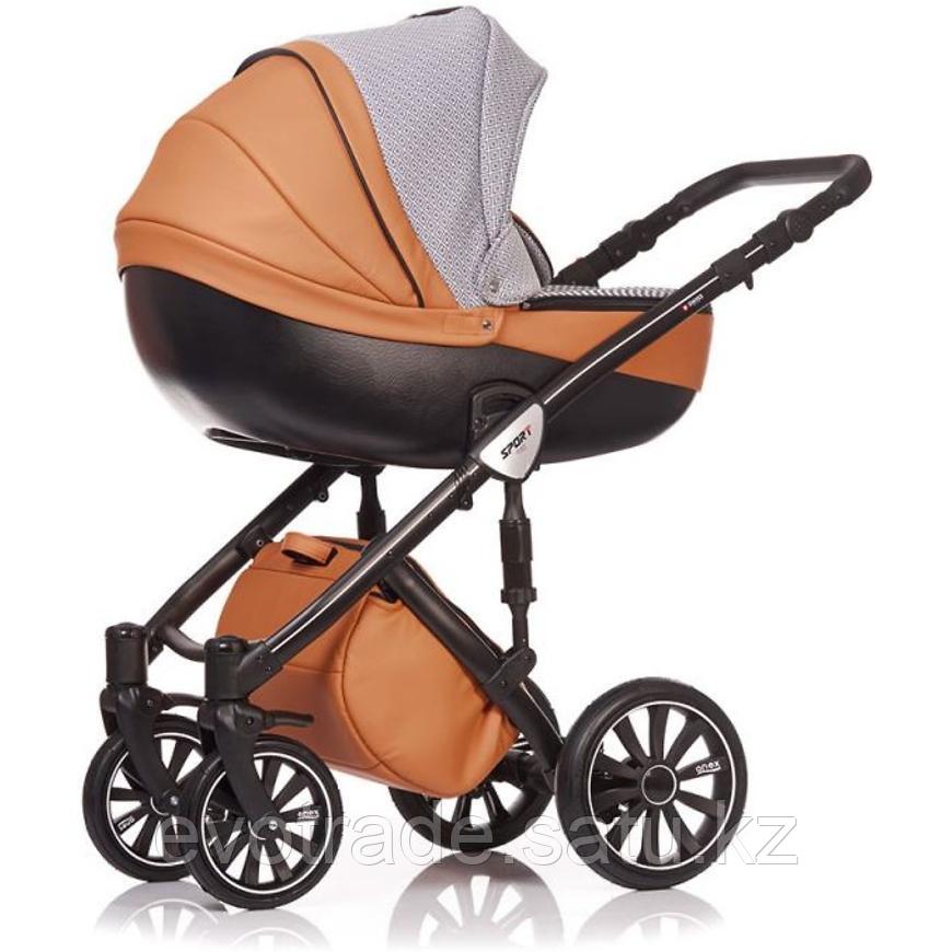Коляска 3в1 Anex Sport Foxy 2017