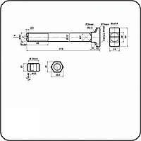 Болт закладной М22х175 с гайкой