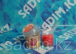 Жас лесбиянкалардың фотосы