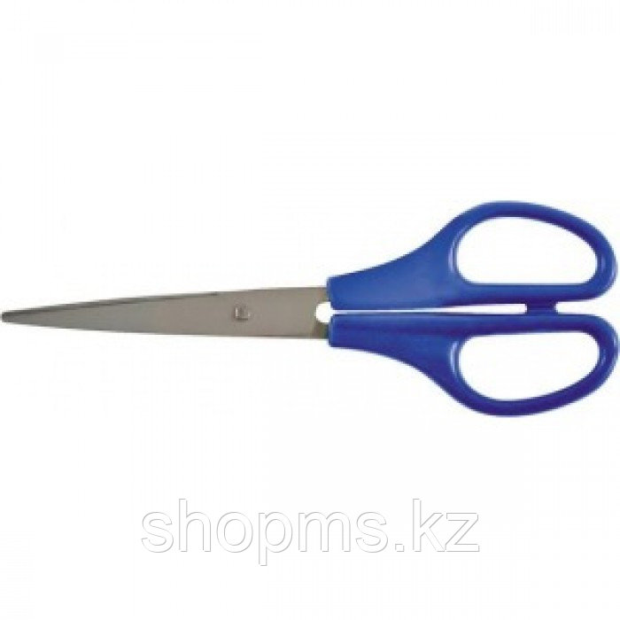 Ножницы бытовые нержавеющие, пластиковые ручки, толщина лезвия 1,4 мм, 170 мм