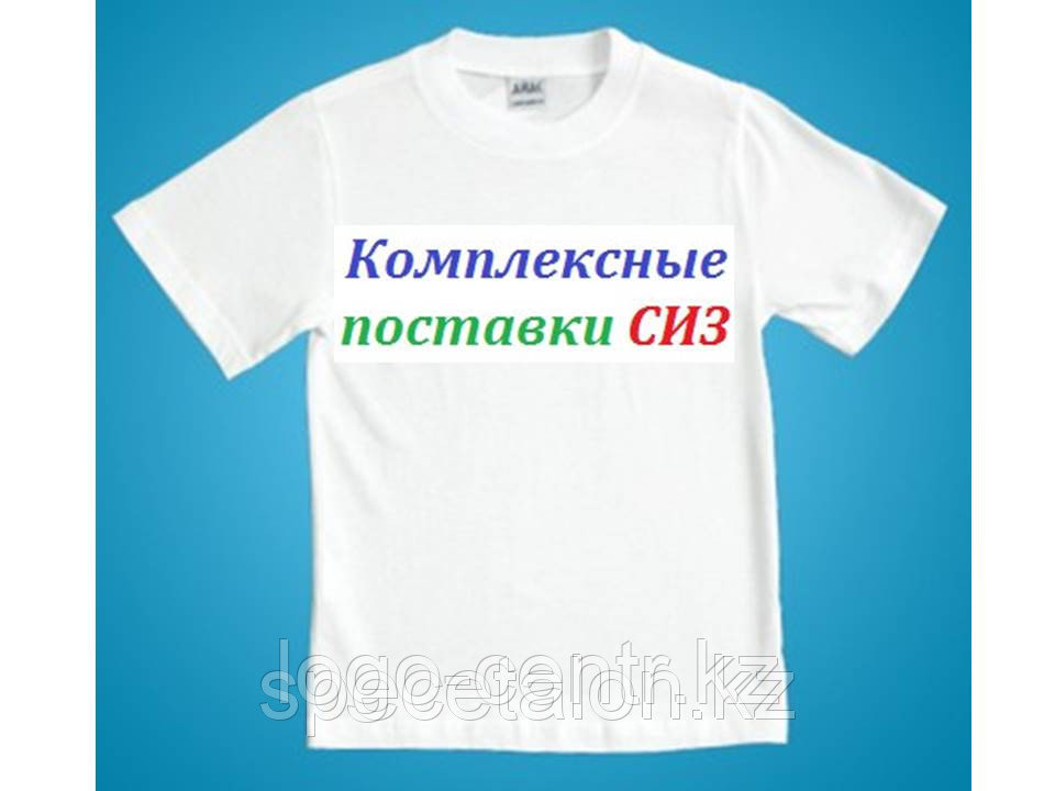 Логотип (30*10 см)