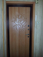 Накладка на дверь входную ДО 19