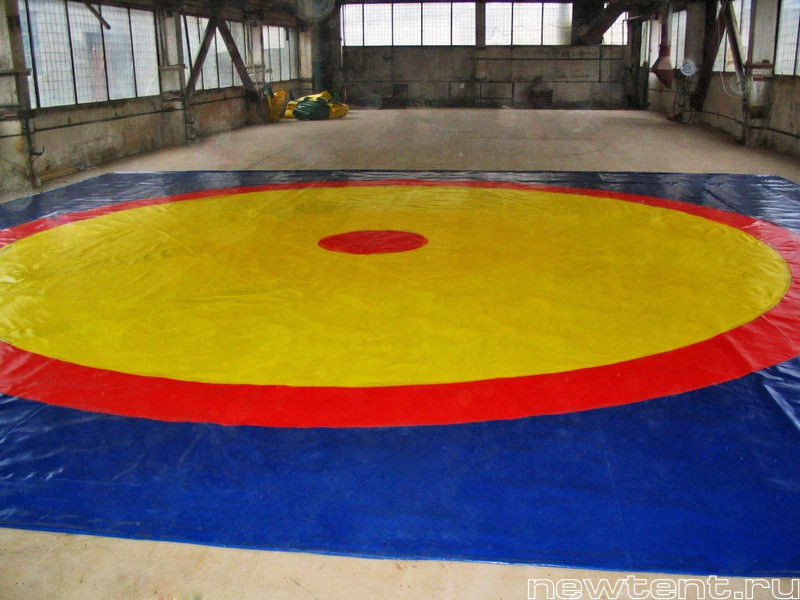 Борцовского ковер трехцветный 10м х 10 м (без маты) - фото 2 - id-p47100887