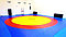 Борцовский ковер трехцветный 12 х 12 м с матами, толщина 5 см, фото 2