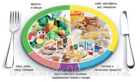 Организация здорового питания в дошкольных и школьных образовательных учреждениях. Необходимость реформировани