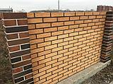 Желтый облицовочный кирпич Ликолор, фото 9