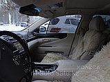 Автомобильные шторки на Lexus LX 570, фото 4
