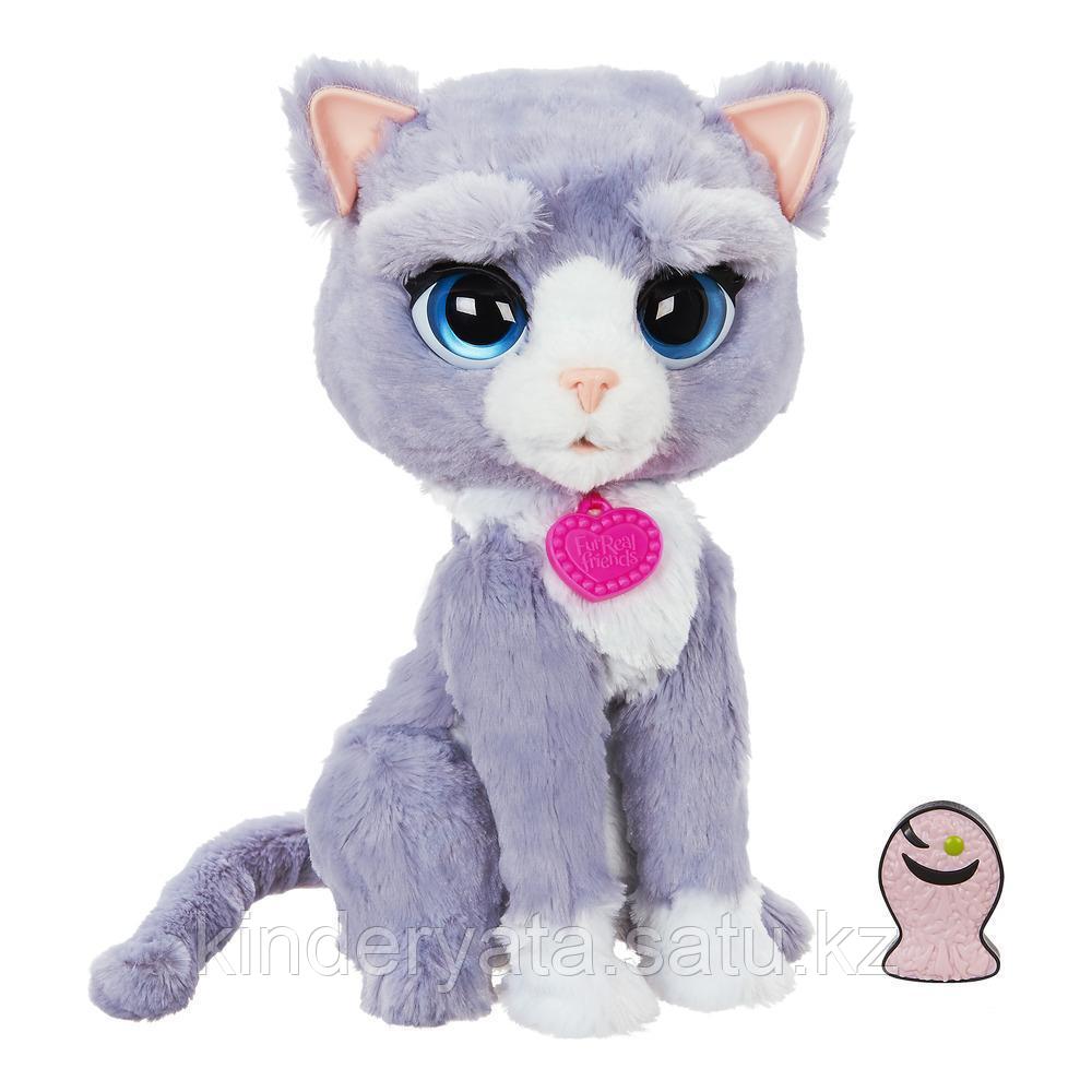 Интерактивный котёнок Бутси (Bootsie) FurReal Friends Hasbro
