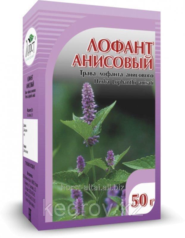 Лофант анисовый, 50 гр