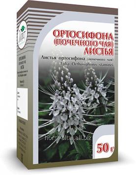 Ортосифона (почечного чая), листья 50 гр