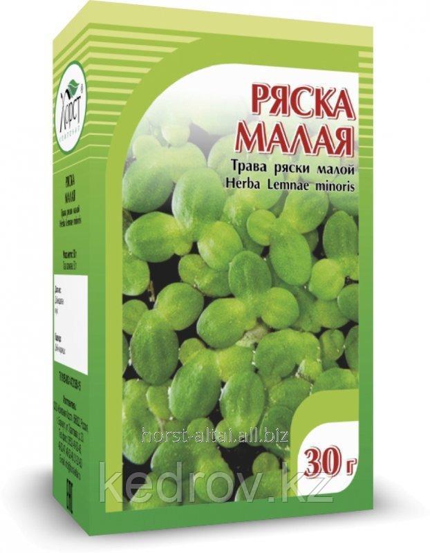 Ряска малая, 30 гр