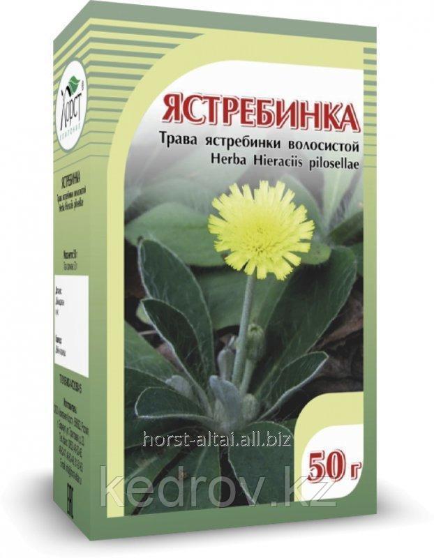 Ястребинка, трава 50 гр