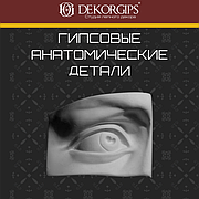 Анатомические детали