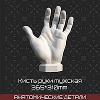 Кисть руки вертикальная