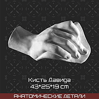 Кисть Давида