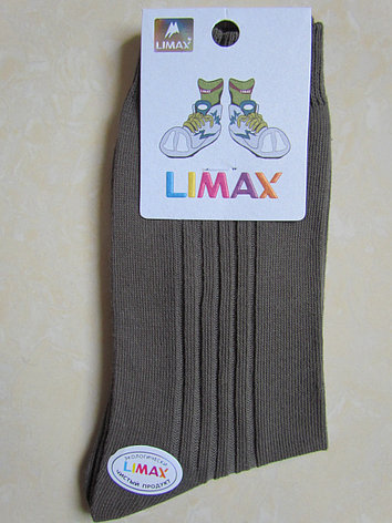 Носки детские Limax, летние, фото 2