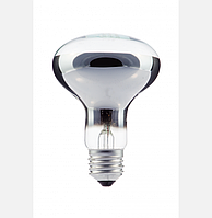 Лампа ЗК 230-60 R63 E27 BL
