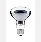 Лампа ЗК 230-75 R80 E27 BL