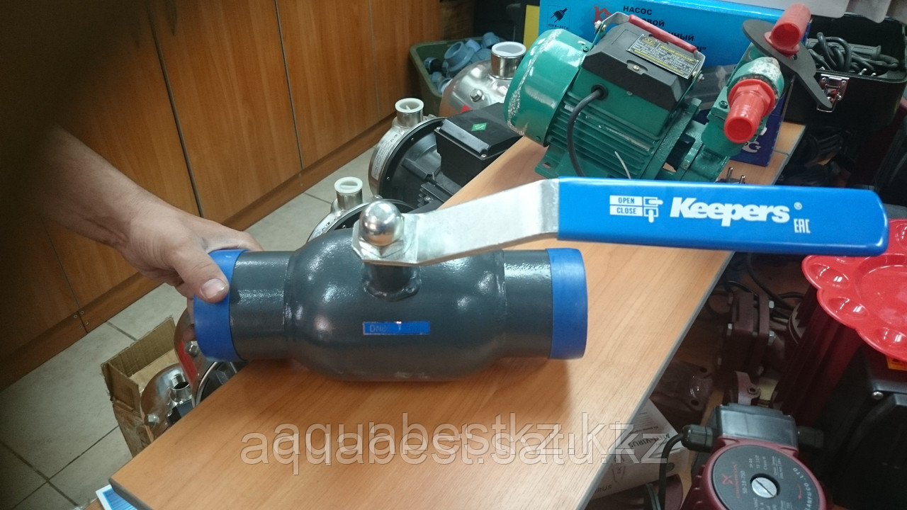 Дәнекерлеуге арналған болат шарлы шүмек DN 50 PN 40