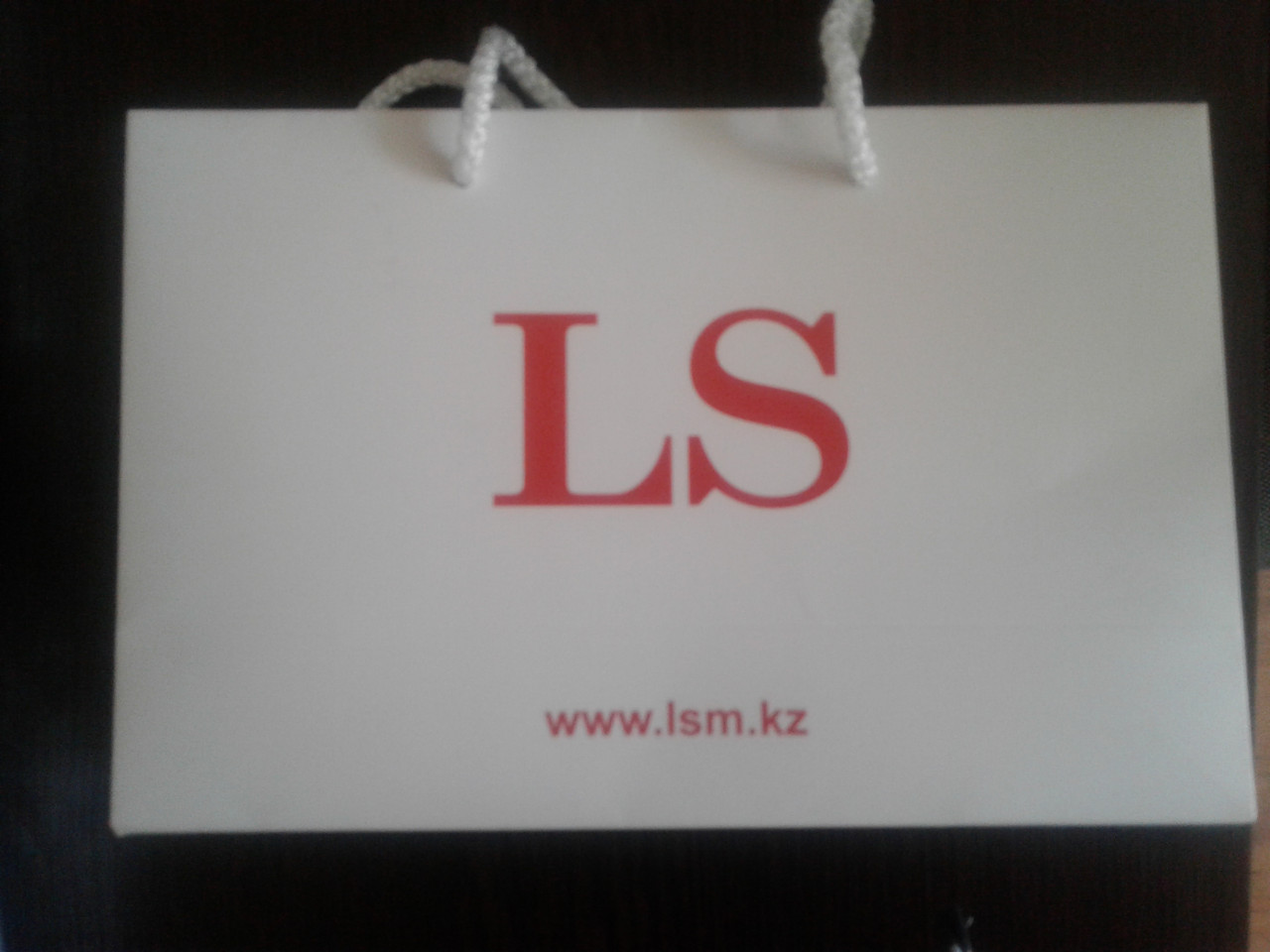 Изготовление бумажных пакетов с логотипом по индивидуальному заказу - фото 2 - id-p37723219