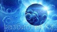 Способы использования Третиноина в терапии онкологических заболеваний, основные особенности препарата