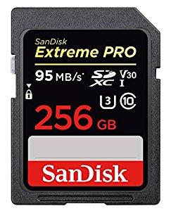 Карта памяти SD 256GB Class 10 U3 SanDisk SDSDXXG-256G-GN4IN - фото 1 - id-p47656498