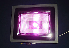 Фитосветильник полного спектра IP65 для теплиц и гроубоксов