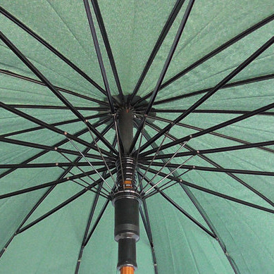 Зонт-трость с деревянной ручкой, полуавтомат, зеленый с кантом - фото 2 - id-p47742223