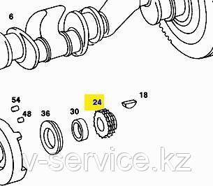 Звездочка однорядная M123(123 052 0003)(нижняя)