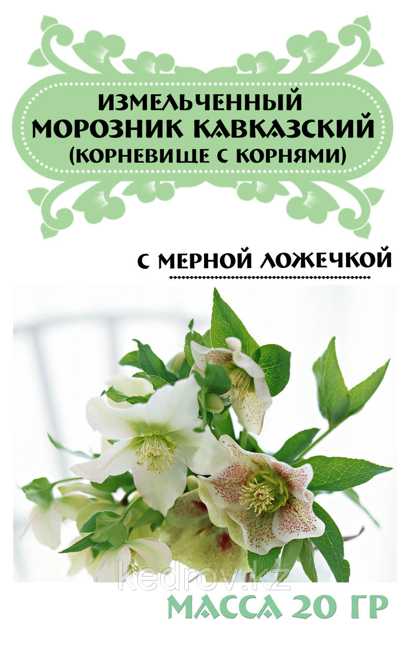 Морозник Кавказский Инструкция По Применению Отзывы Цена