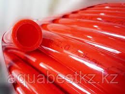 Порно анасы ұлына минет жасауды үйретуді шешті.